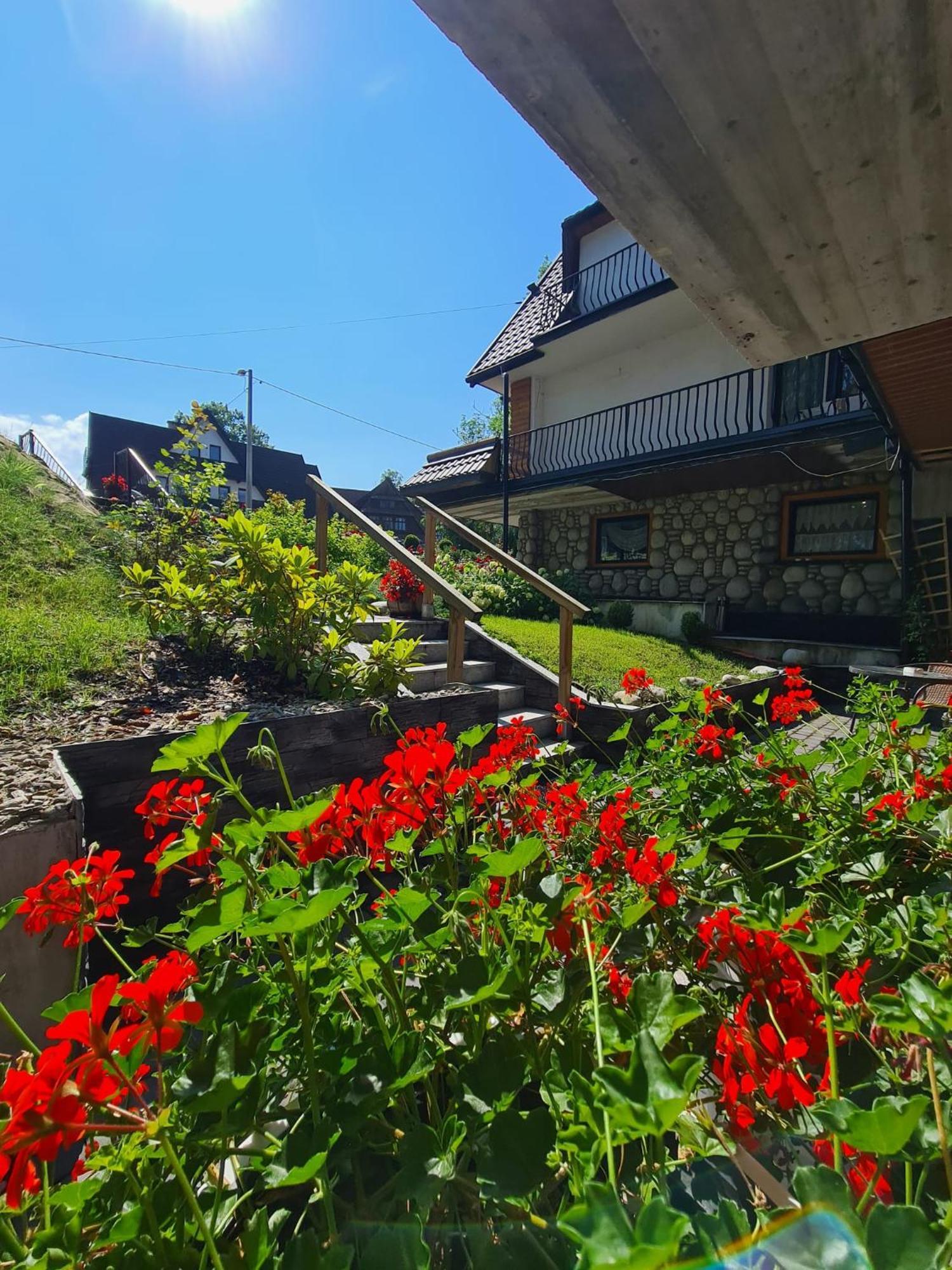 Baca Apartment Bukowina Tatrzanska Ngoại thất bức ảnh